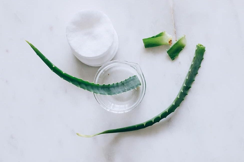 Aloe vera benefits for skin care + homemade face cleanser recipe