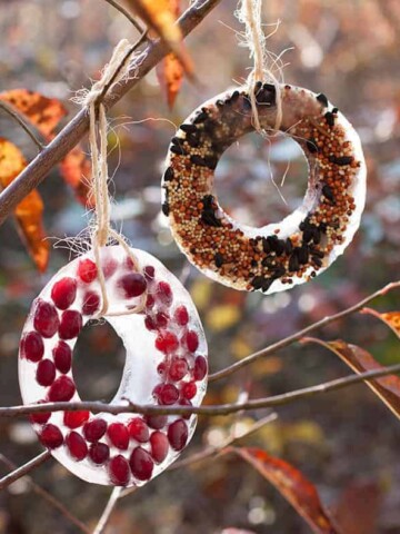 Birdseed Ornaments | Homemade Glow