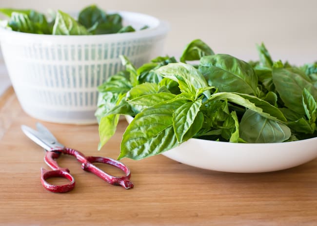 Basil and 9 more essential oils for women's health 