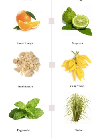 10 Best Essential Oils to Get In (and Stay In) a Good Mood - 